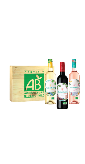 copy of Caisse bois 2 bouteilles et 2 verres - LASCAUX